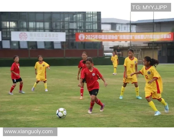 足球基地助力青少年成长打造未来足球明星的摇篮与舞台